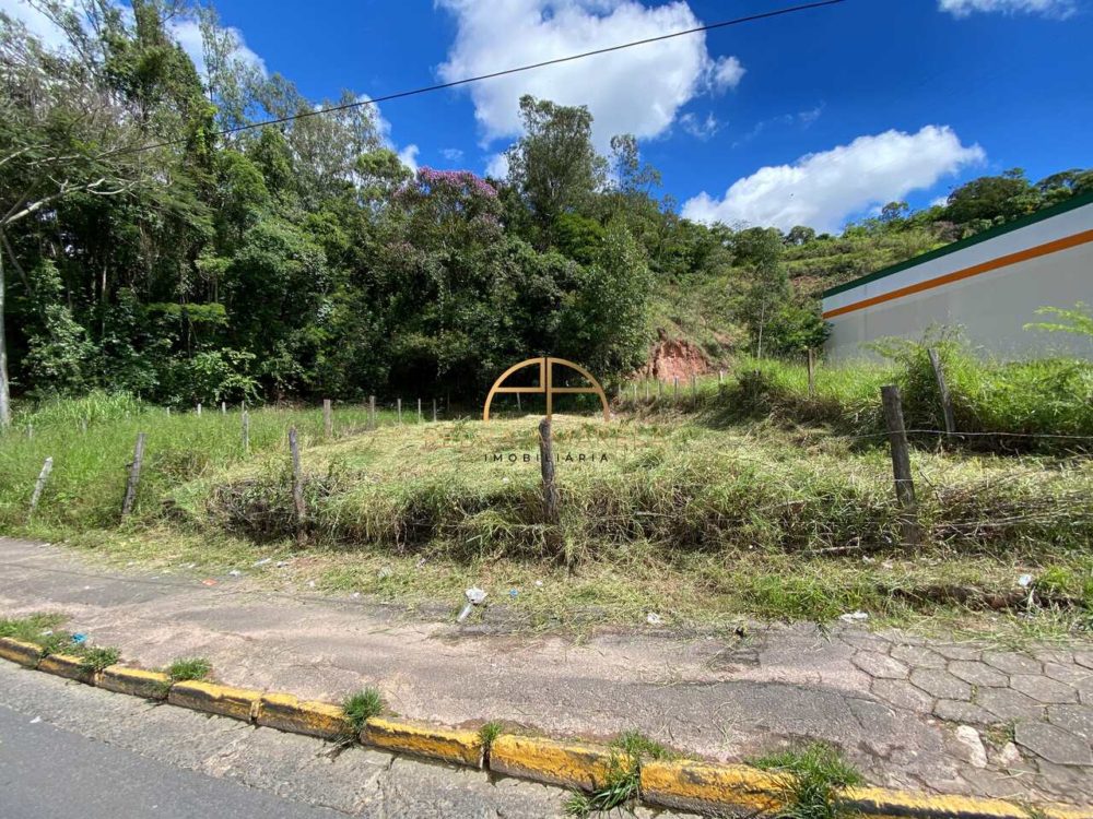 IMG_0537_Easy-Resize.com