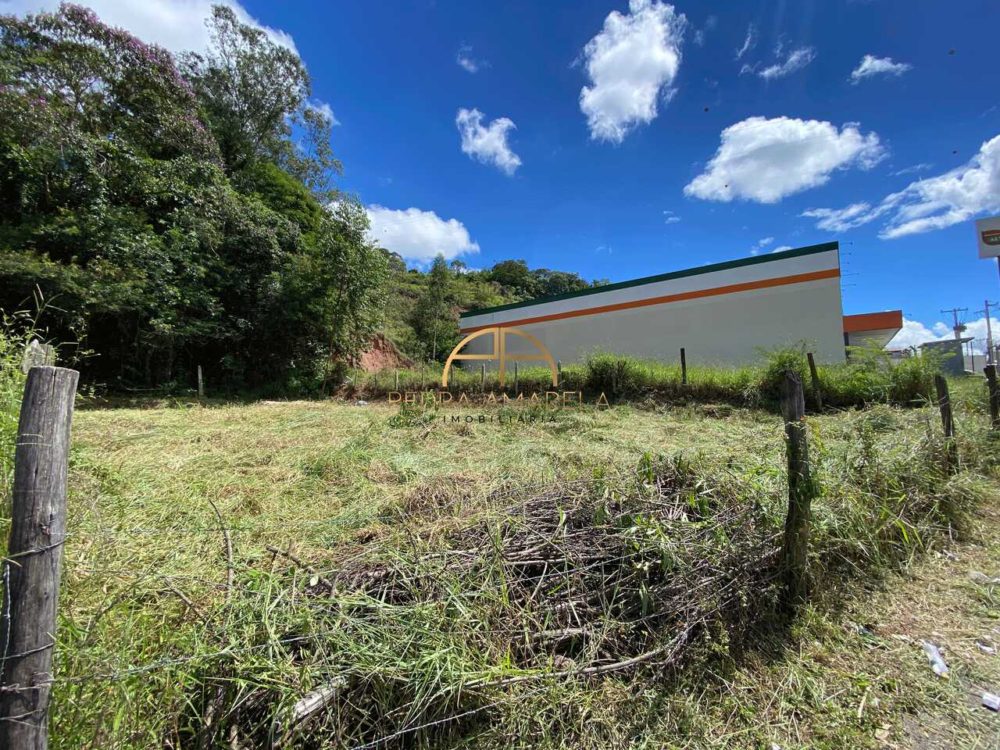 IMG_0538_Easy-Resize.com