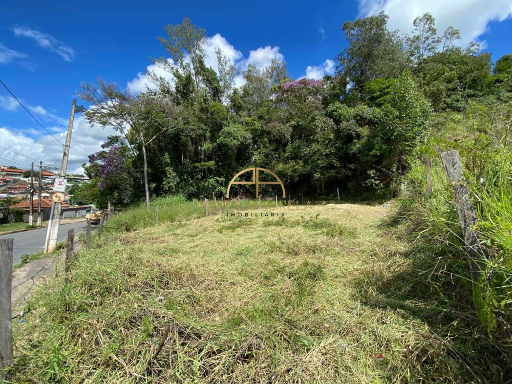 IMG_0540_Easy-Resize.com