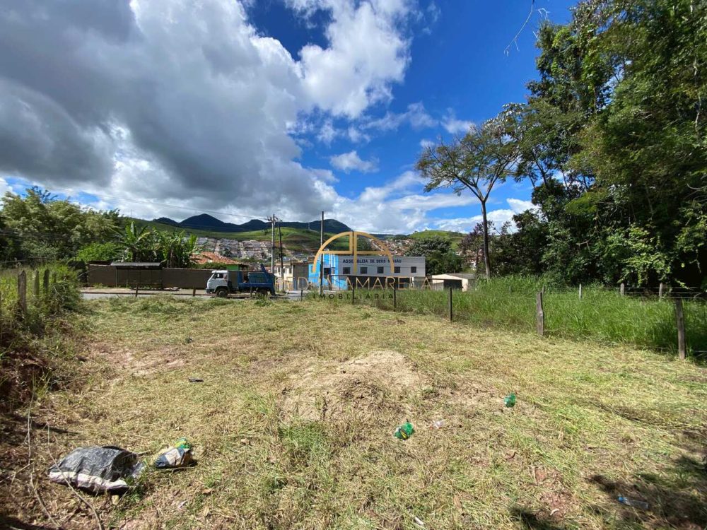 IMG_0541_Easy-Resize.com