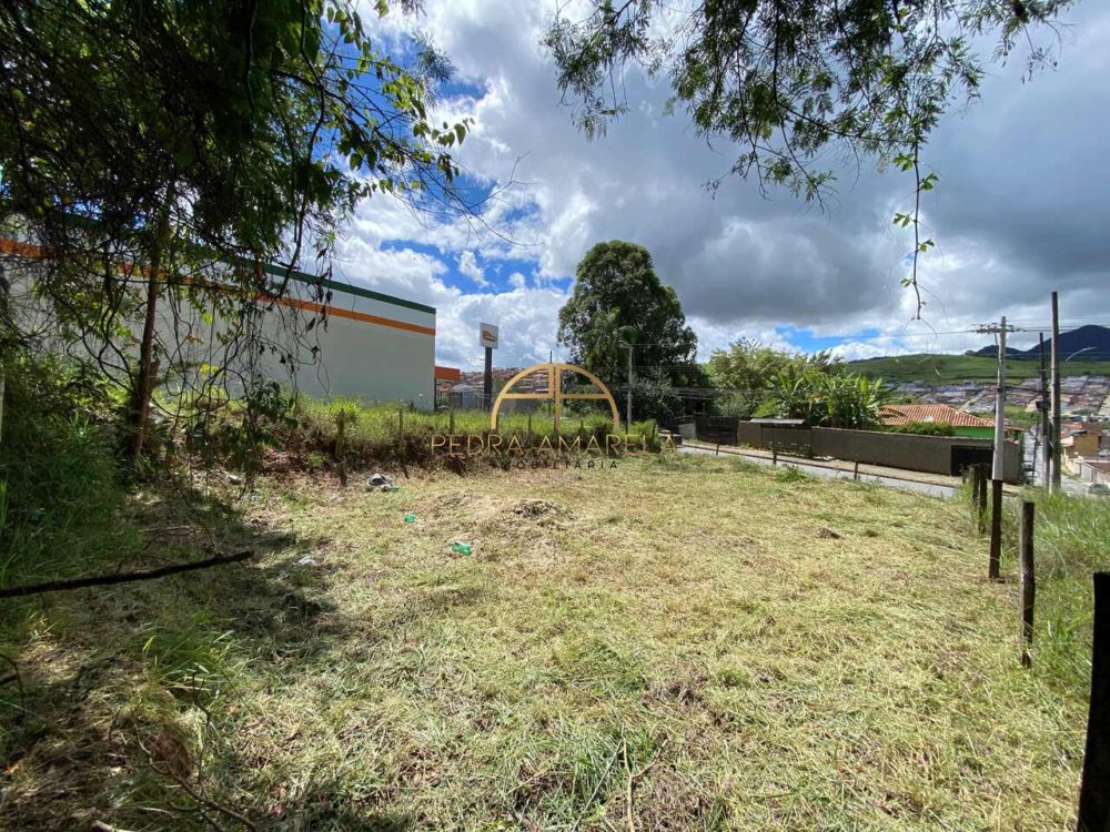 IMG_0542_Easy-Resize.com