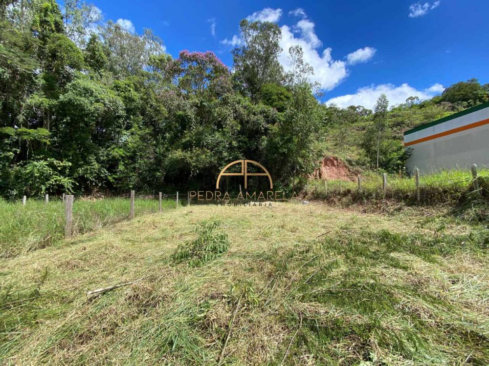 IMG_0544_Easy-Resize.com