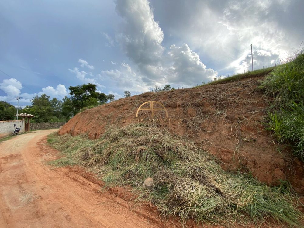 IMG_0784_Easy-Resize.com