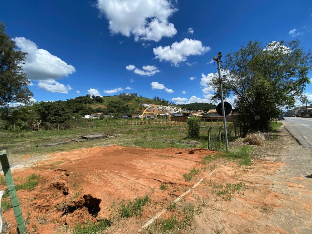 IMG_7729_Easy-Resize.com