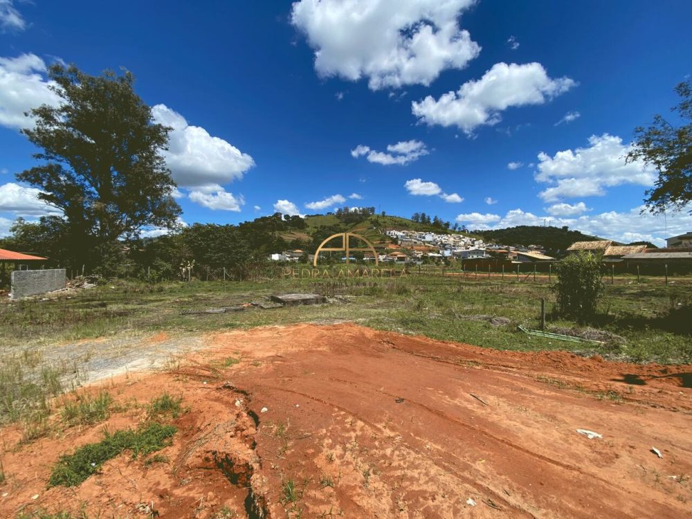 IMG_7731_Easy-Resize.com