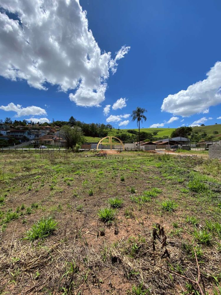 IMG_7733_Easy-Resize.com