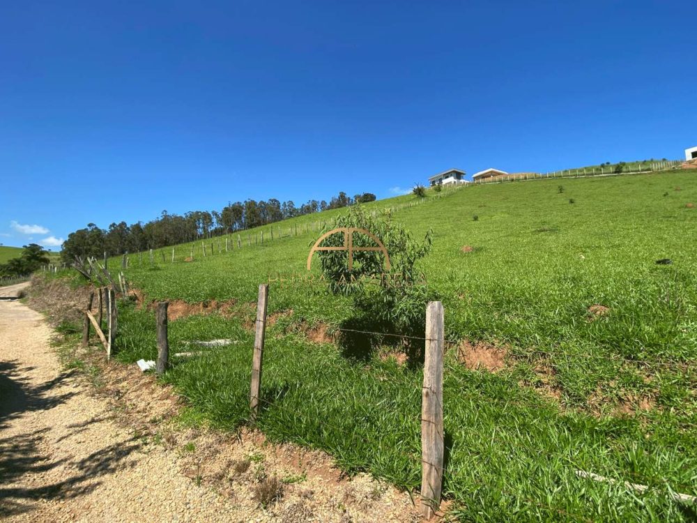 IMG_9351_Easy-Resize.com