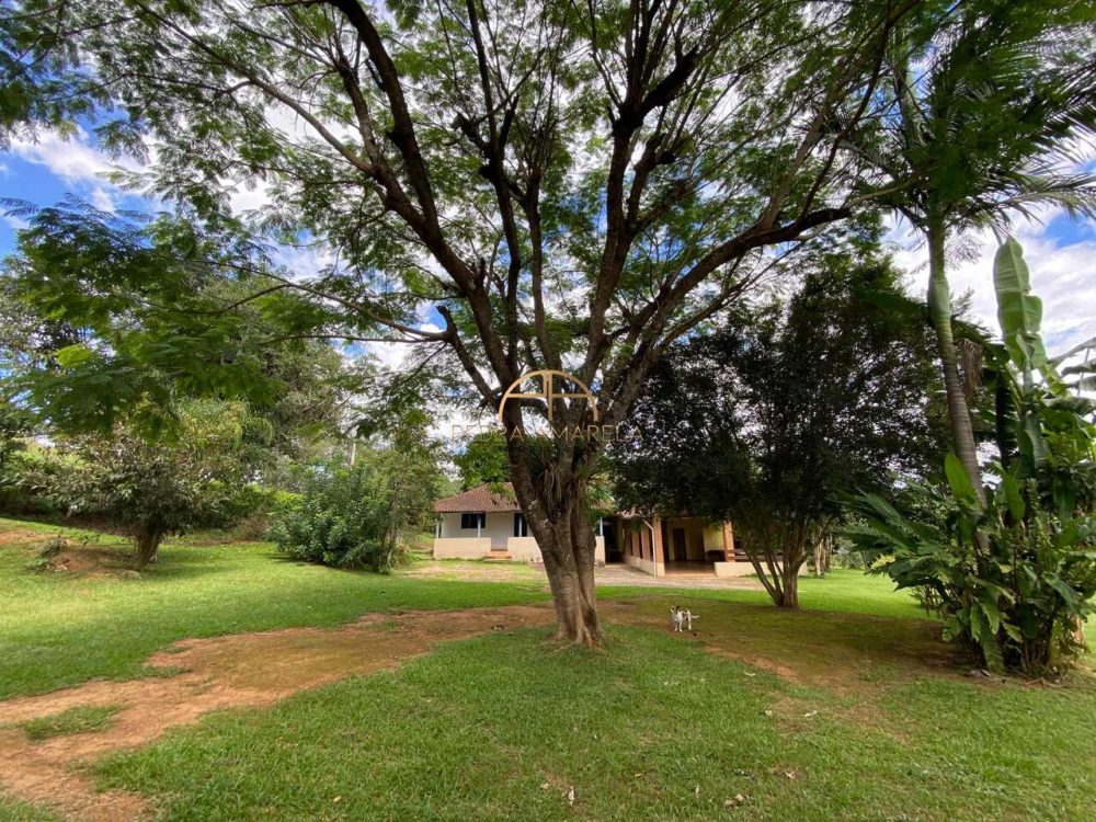 IMG_9558_Easy-Resize.com